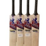 Junior-english-willow-bat