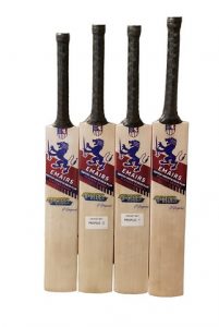 Junior-english-willow-bat